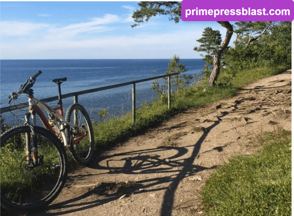 Tour Privado en Bicicleta de Montaña a Orillas del Río Simeto